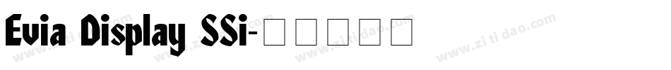Evia Display SSi字体转换